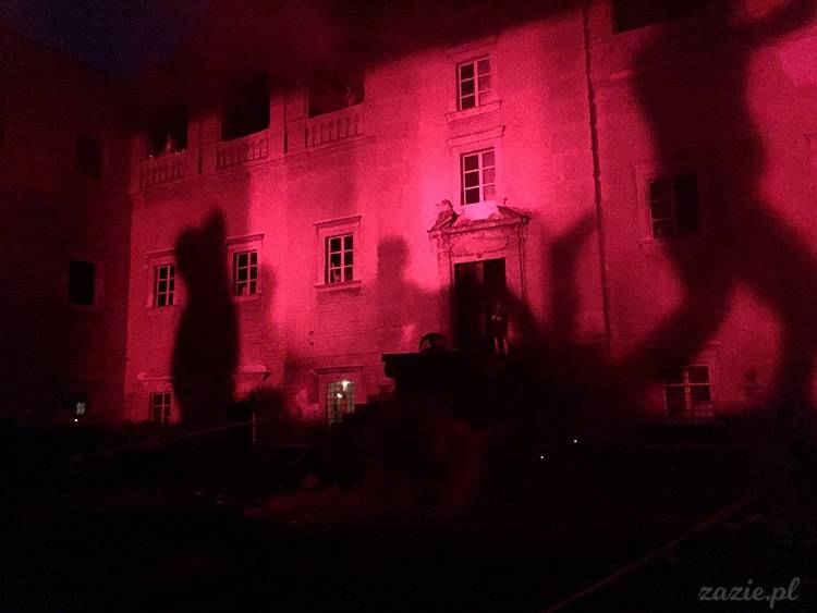 Palimpsesty Przestrzeni Rekonstrukcja, Pałac Gorzanów, Pałac w Gorzanowie, Bahar Nihal Ersözlü, Studio Matejka, Kolektyw Pejzaże, Budalasultan, Tandem Turkey-EU