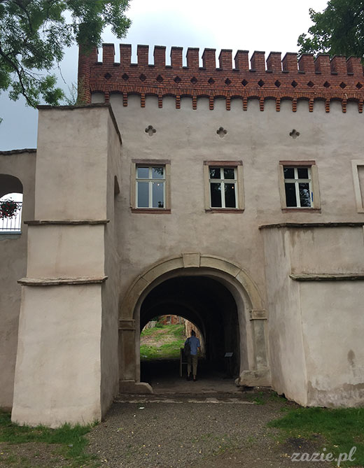 Ścinawka Górna, Dwór Sarny w Ścinawce Górnej