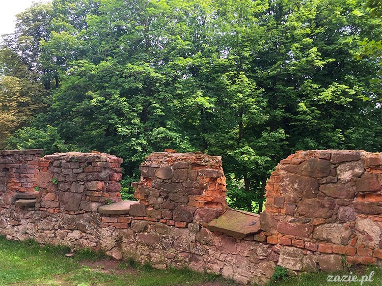 Ścinawka Górna, Dwór Sarny w Ścinawce Górnej