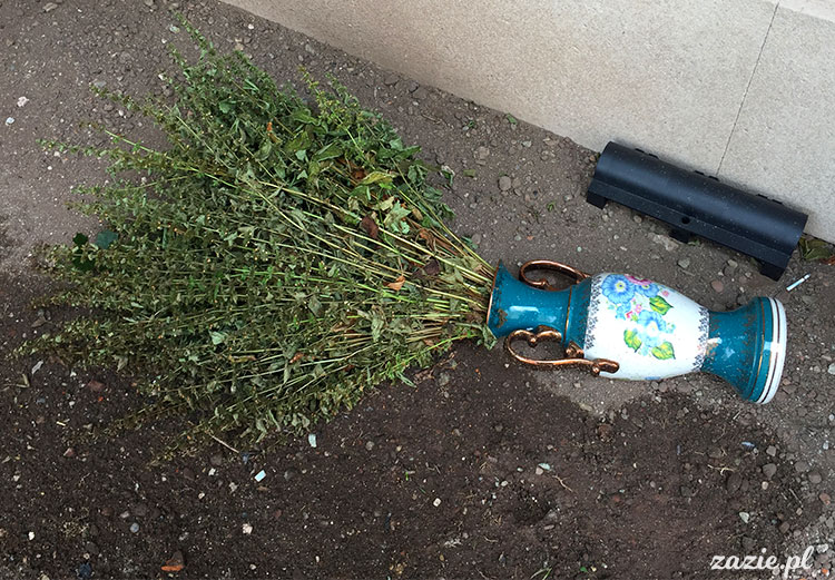 Ścinawka Górna, Dwór Sarny w Ścinawce Górnej