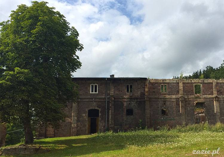 Ścinawka Górna, Dwór Sarny w Ścinawce Górnej