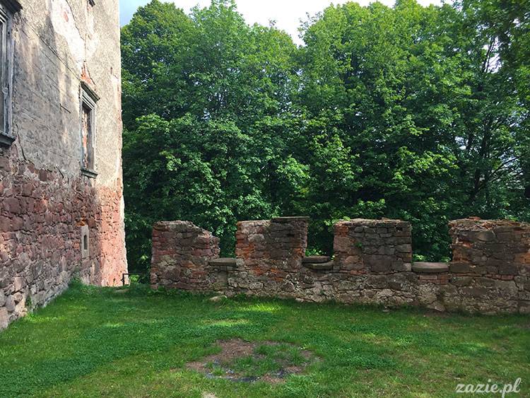 Ścinawka Górna, Dwór Sarny w Ścinawce Górnej