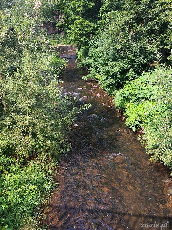 Ścinawka Górna, Dwór Sarny w Ścinawce Górnej