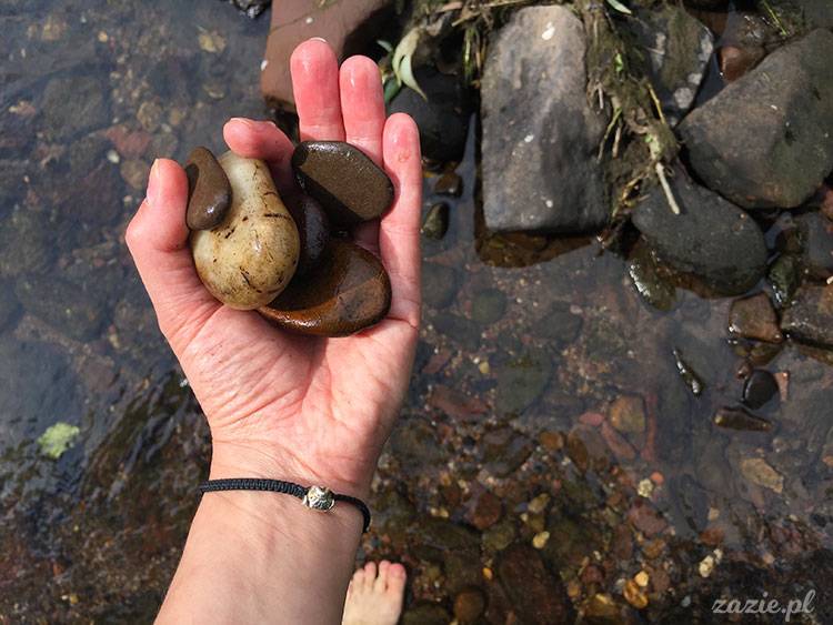 Ścinawka Górna, Dwór Sarny w Ścinawce Górnej