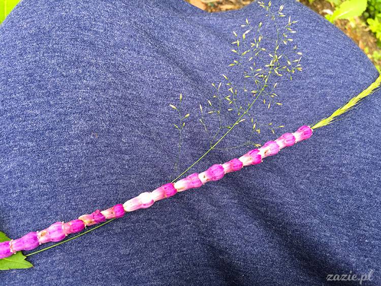 Ścinawka Górna, Dwór Sarny w Ścinawce Górnej