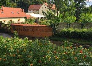 Sierpniowe Arboretum