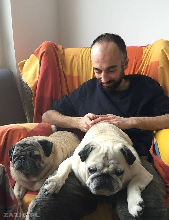 mopsy w Pruszkowie, Kumok i Miszur, mopsiki Zazie