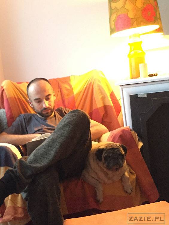 mopsy w Pruszkowie, Kumok i Miszur, mopsiki Zazie