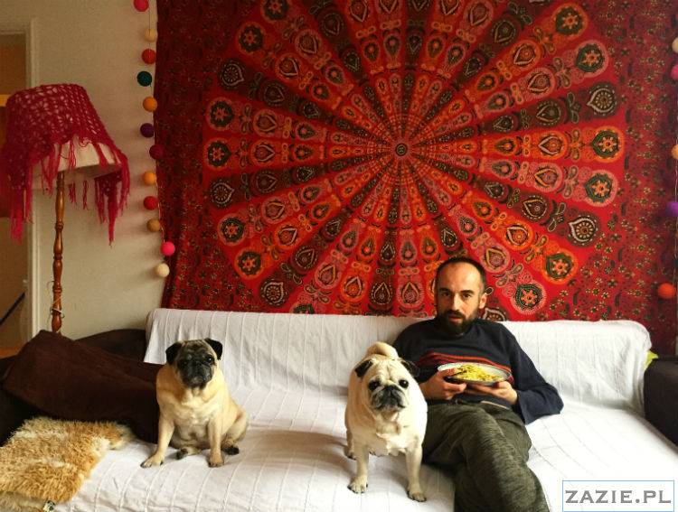 mopsy w Pruszkowie, Kumok i Miszur, mopsiki Zazie