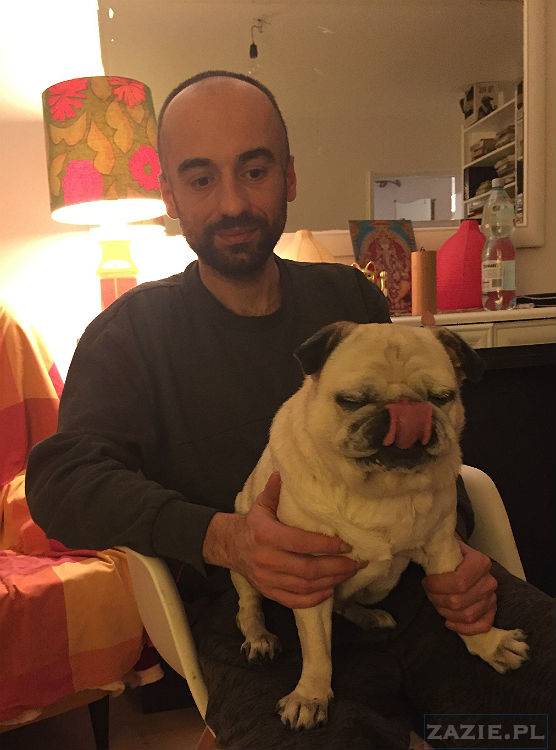 mopsy w Pruszkowie, Kumok i Miszur, mopsiki Zazie