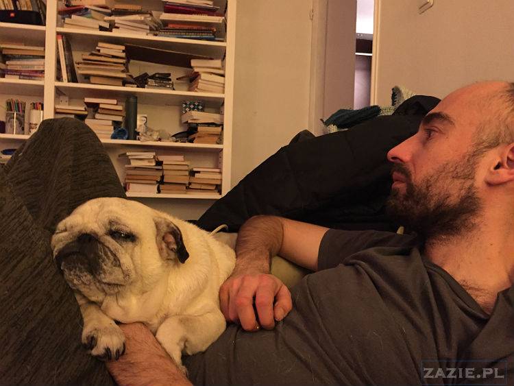 mopsy w Pruszkowie, Kumok i Miszur, mopsiki Zazie