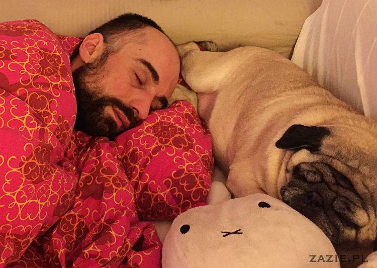 mopsy w Pruszkowie, Kumok i Miszur, mopsiki Zazie