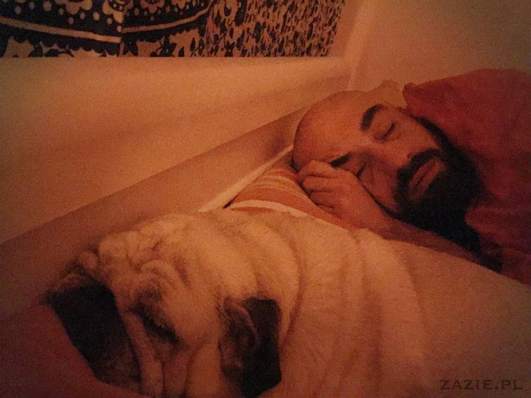 mopsy w Pruszkowie, Kumok i Miszur, mopsiki Zazie