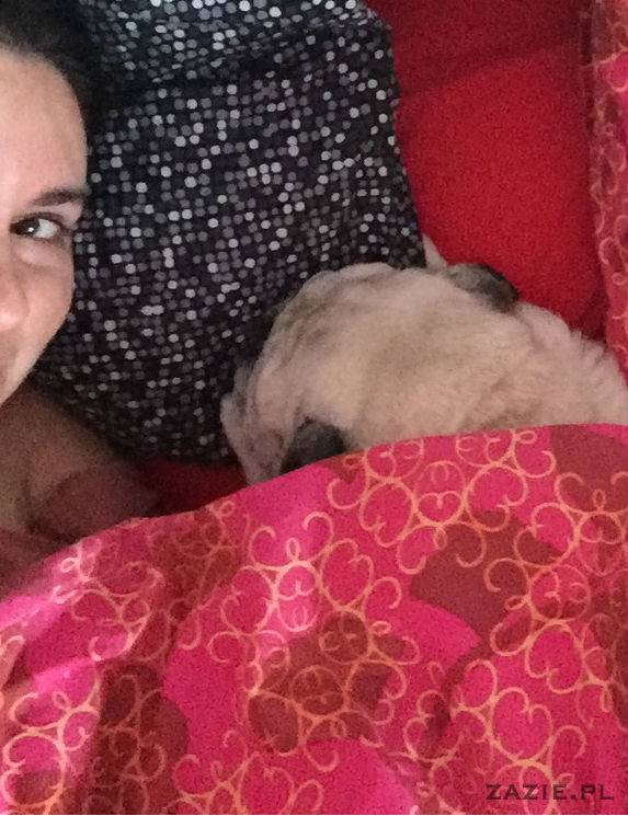 mopsy w Pruszkowie, Kumok i Miszur, mopsiki Zazie