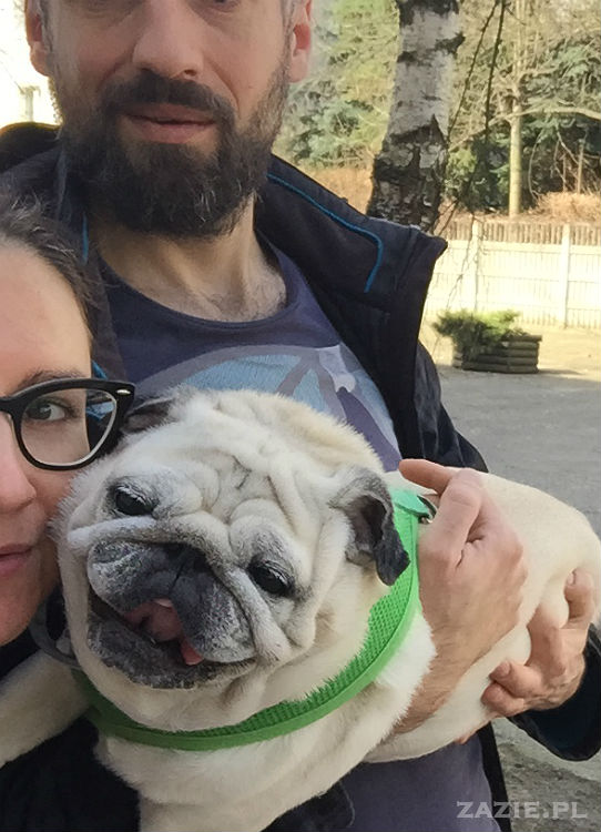 mopsy w Pruszkowie, Kumok i Miszur, mopsiki Zazie