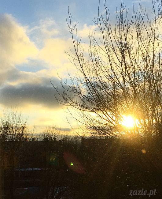 luty marzec Pruszków mieszkanie Zazie Kumok Miszur mopsy