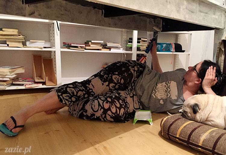 luty marzec Pruszków mieszkanie Zazie Kumok Miszur mopsy