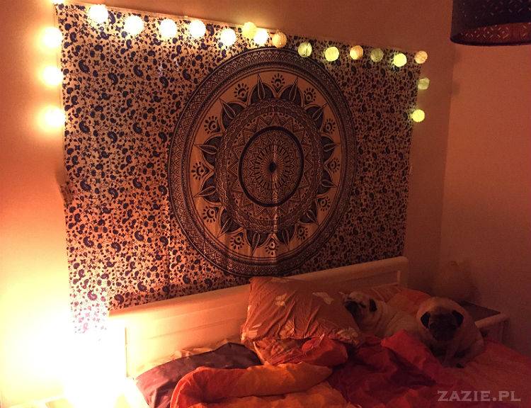 luty marzec Pruszków mieszkanie Zazie Kumok Miszur mopsy