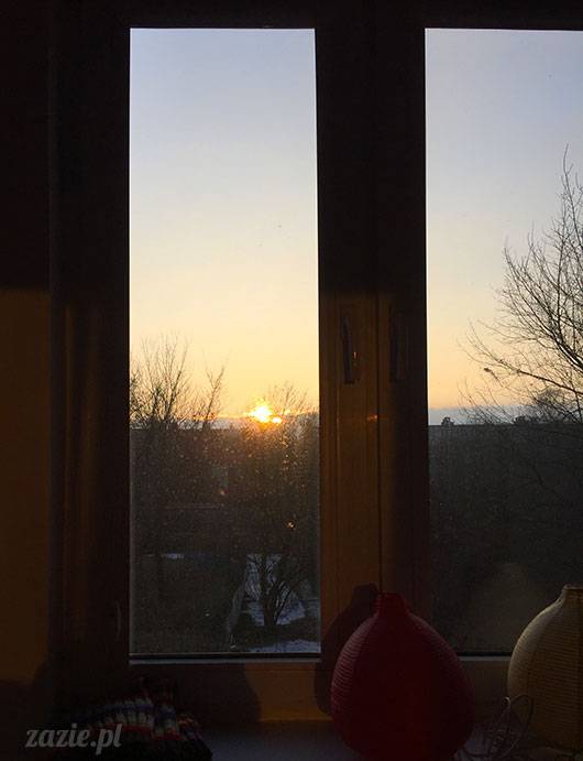 luty marzec Pruszków mieszkanie Zazie Kumok Miszur mopsy