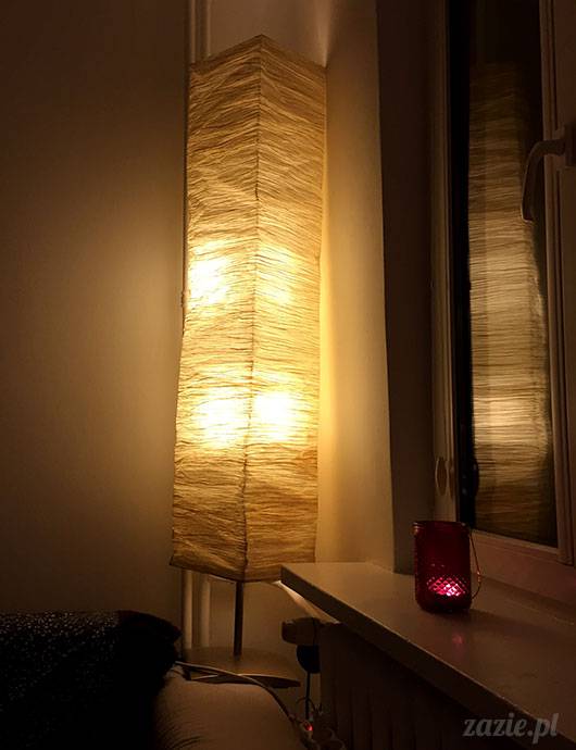 luty marzec Pruszków mieszkanie Zazie Kumok Miszur mopsy