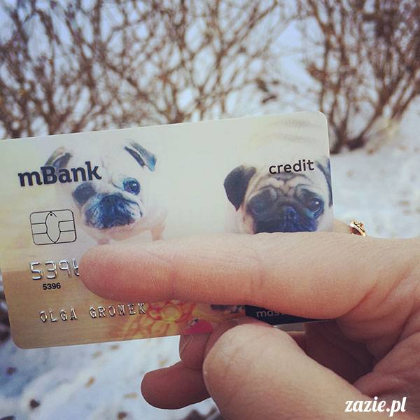 luty marzec Pruszków mieszkanie Zazie Kumok Miszur mopsy