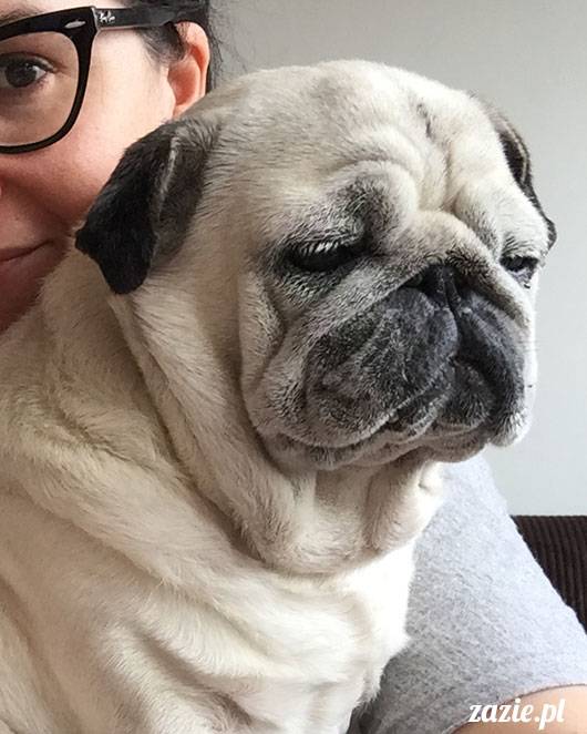 luty marzec Pruszków mieszkanie Zazie Kumok Miszur mopsy