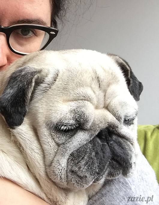 luty marzec Pruszków mieszkanie Zazie Kumok Miszur mopsy