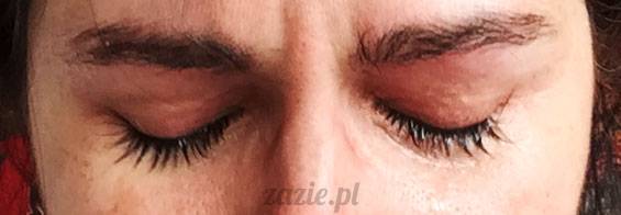 luty marzec Pruszków mieszkanie Zazie Kumok Miszur mopsy