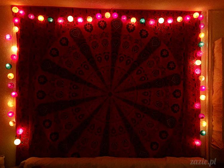 luty marzec Pruszków mieszkanie Zazie Kumok Miszur mopsy