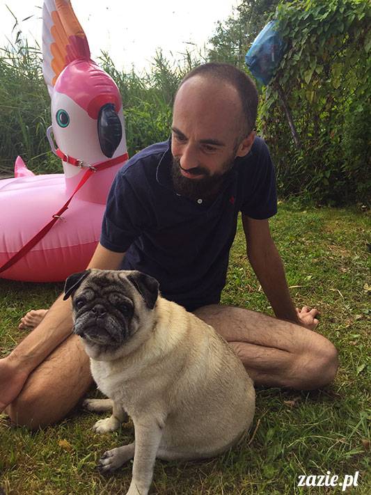 mopsy mopsiki Zazie Kumok Miszur