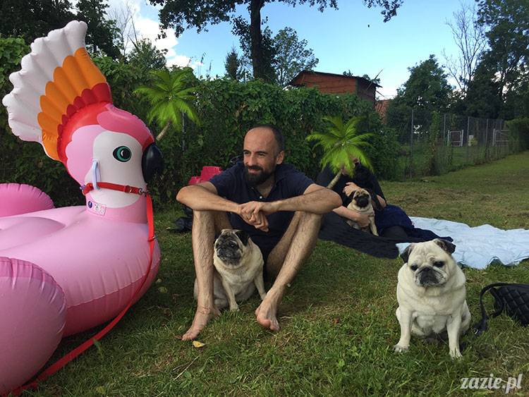 mopsy mopsiki Zazie Kumok Miszur