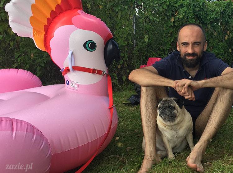 mopsy mopsiki Zazie Kumok Miszur