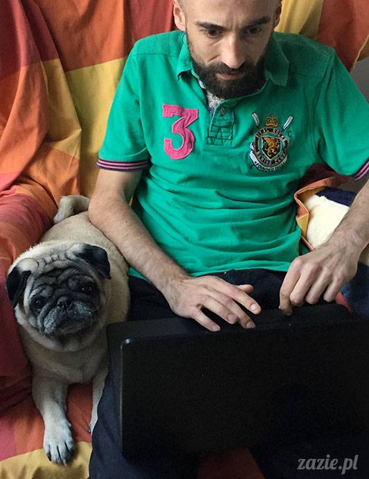 mopsy mopsiki Zazie Kumok Miszur