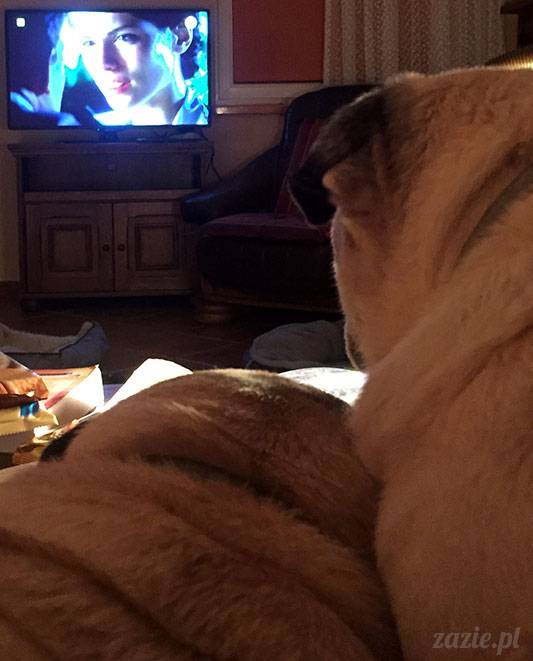 mopsy mopsiki Zazie Kumok Miszur