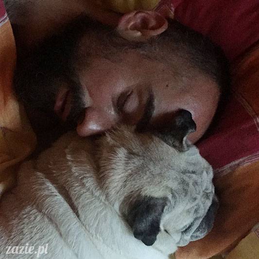 mopsy mopsiki Zazie Kumok Miszur