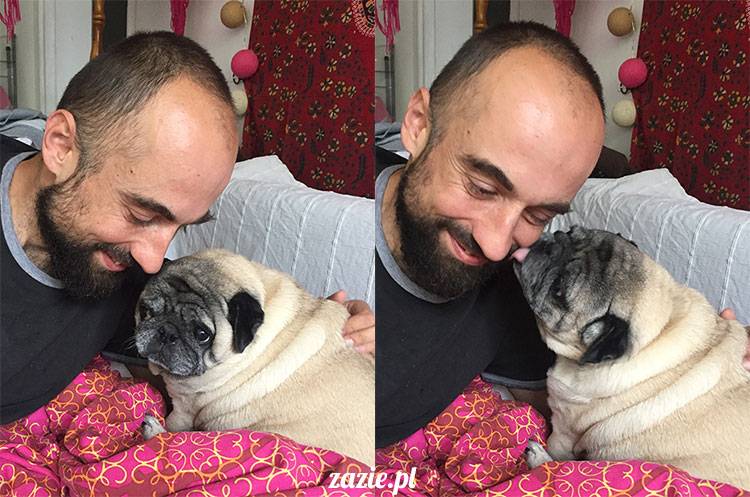 mopsy mopsiki Zazie Kumok Miszur