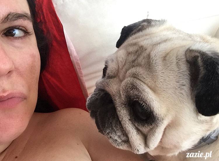 mopsy mopsiki Zazie Kumok Miszur