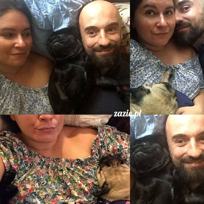 mopsy mopsiki Zazie Kumok Miszur