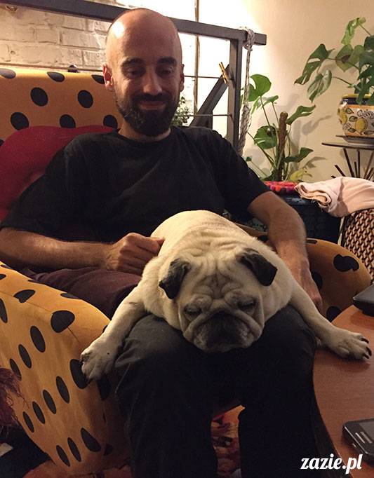 mopsy mopsiki Zazie Kumok Miszur