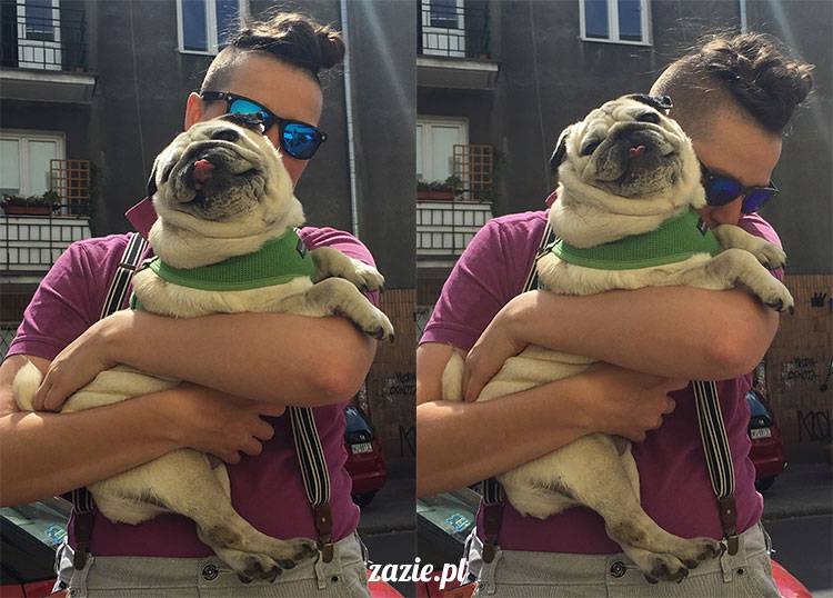 mopsy mopsiki Zazie Kumok Miszur