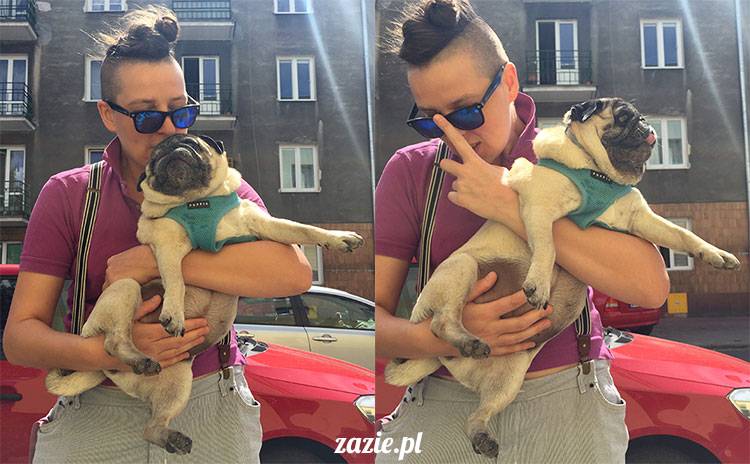 mopsy mopsiki Zazie Kumok Miszur