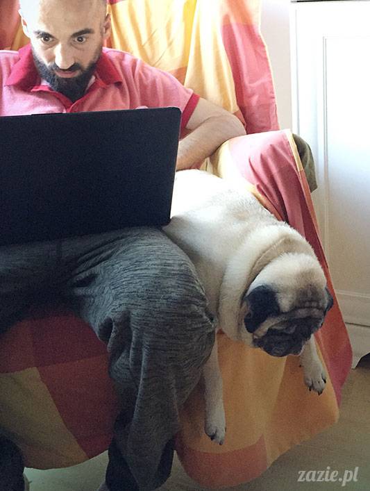 mopsy mopsiki Zazie Kumok Miszur