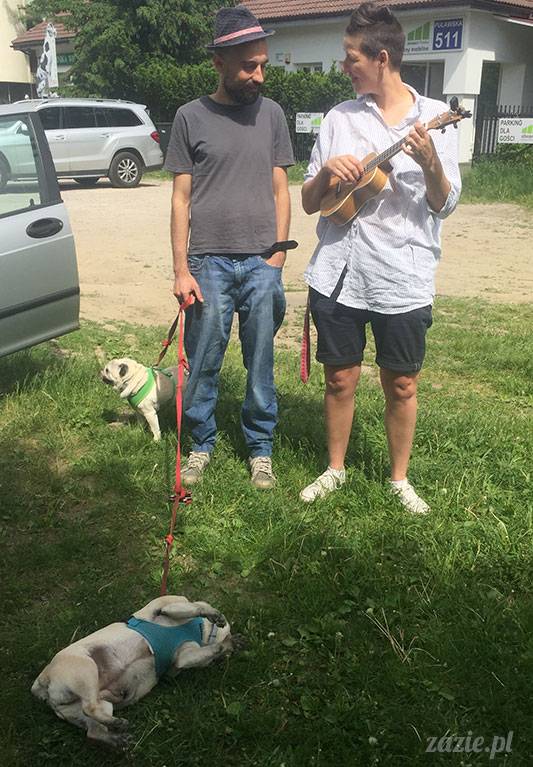 mopsy mopsiki Zazie Kumok Miszur