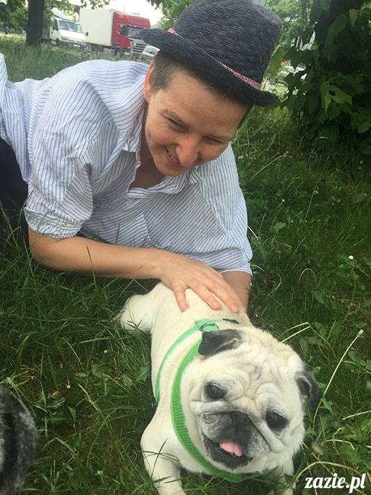 mopsy mopsiki Zazie Kumok Miszur