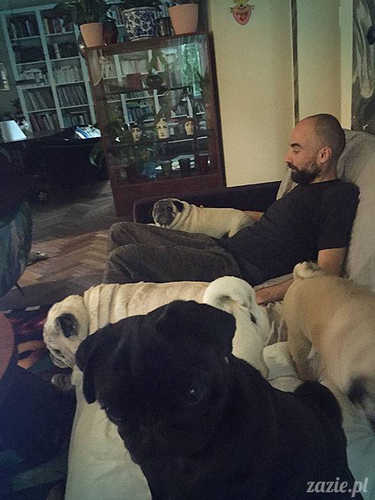 mopsy mopsiki Zazie Kumok Miszur