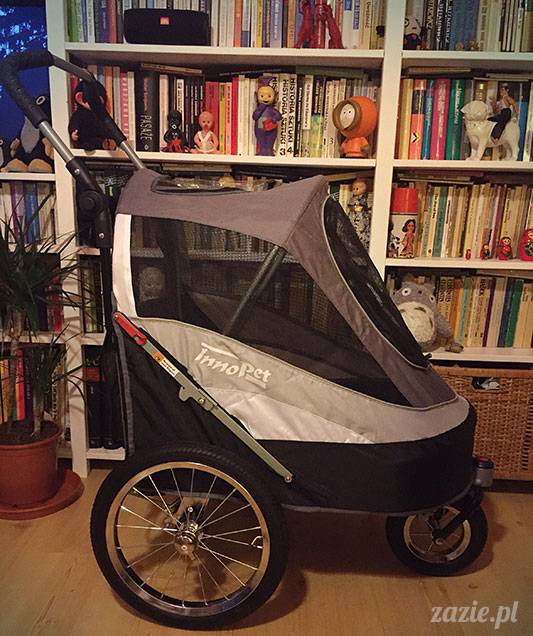 mopsy mopsiki Zazie Kumok Miszur