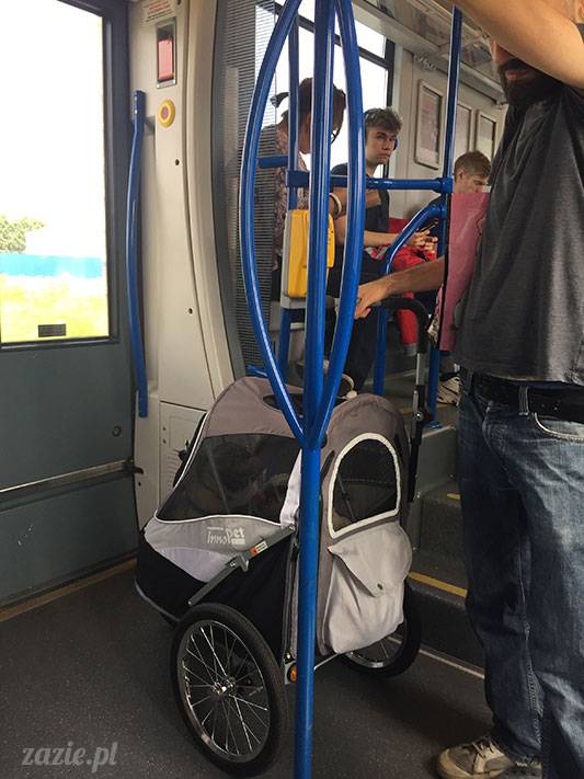 mopsy mopsiki Zazie Kumok Miszur