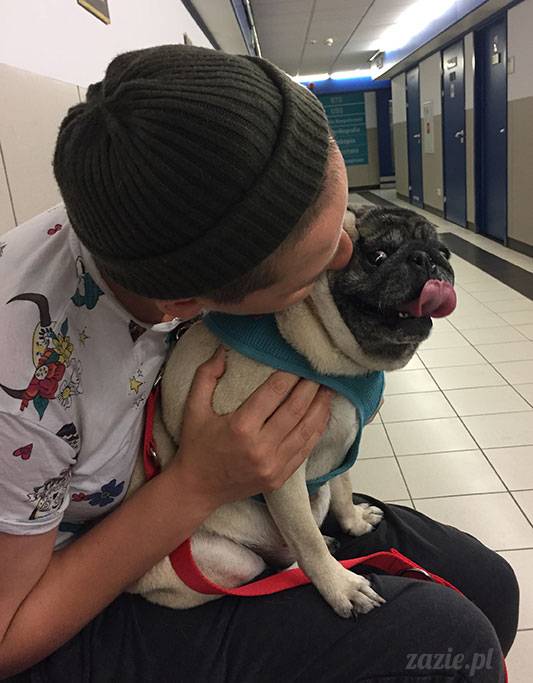 mopsy mopsiki Zazie Kumok Miszur