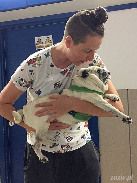 mopsy mopsiki Zazie Kumok Miszur