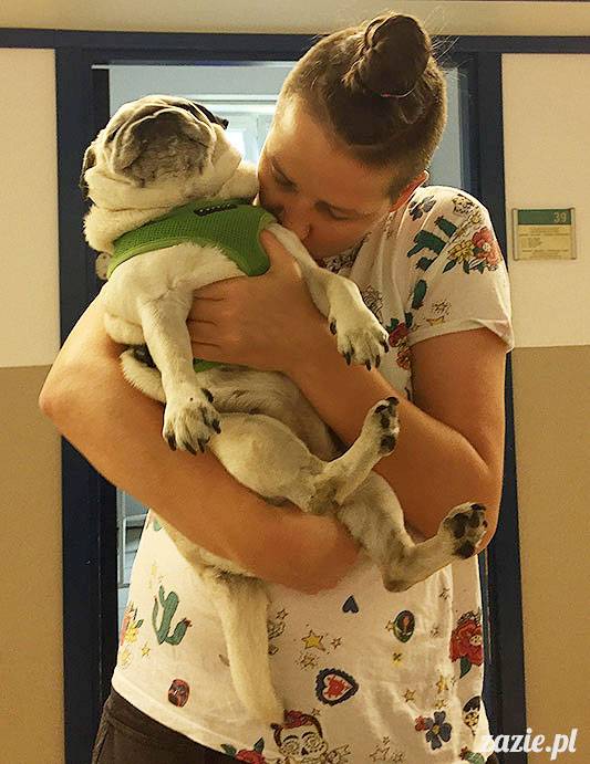 mopsy mopsiki Zazie Kumok Miszur